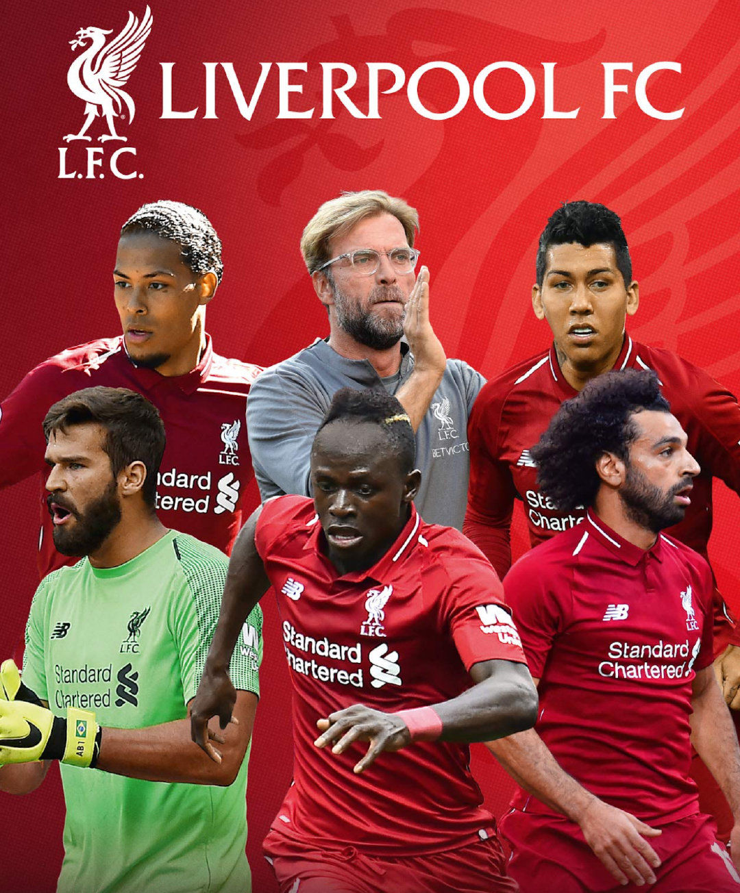 迷和媒体的 迷和媒体的